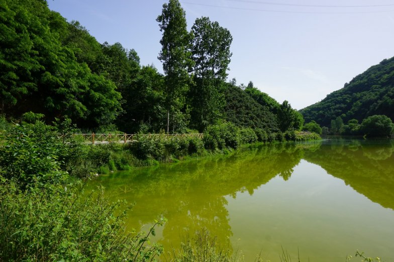 Trabzon'da Online Araç Kiralama: Karadeniz Oto Kiralama ile Kolay ve Hızlı Araç Kiralama Deneyimi